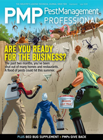 PMP June 2020 cover. COVER ILLUSTRATION: MIKE RIGHT