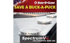 IMAGE: BIRD-B-GONE