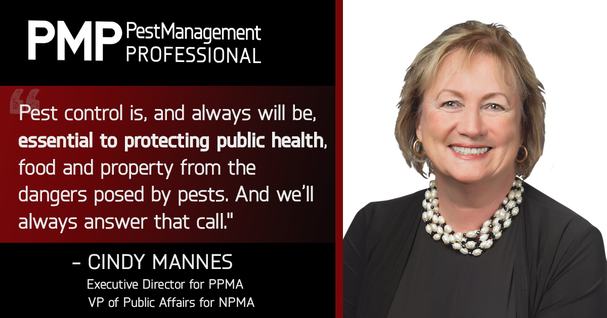 GRAPHIC: PMP STAFF; HEADSHOT: Cindy Mannes