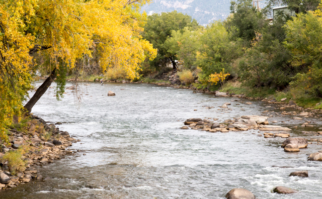 PHOTO: KARAGRUBIS/ISTOCK / GETTY IMAGES PLUS/GETTY IMAGES