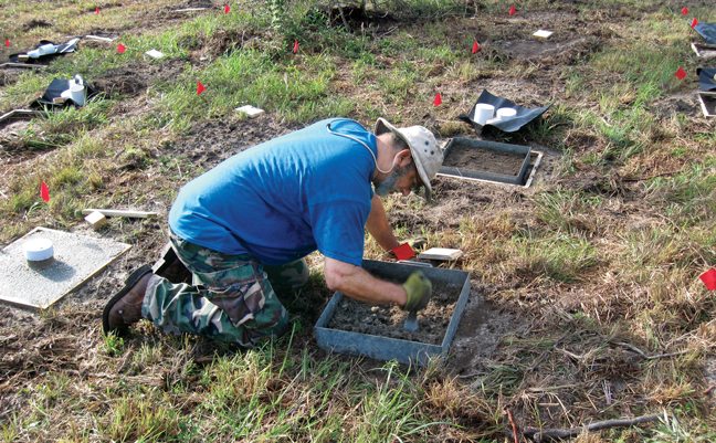 Dr. Shelton works on a groundboard installation. (PHOTO: CRAIG BELL (FPL-4723)/USFS)