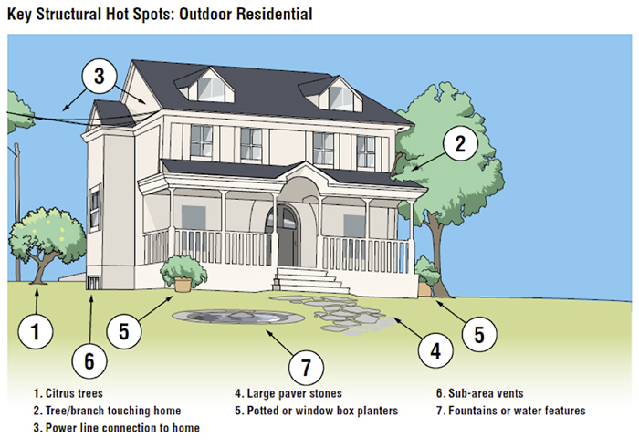 Key Structural Hot Spots for Ants: Outdoor Residential (Graphic: MGK)