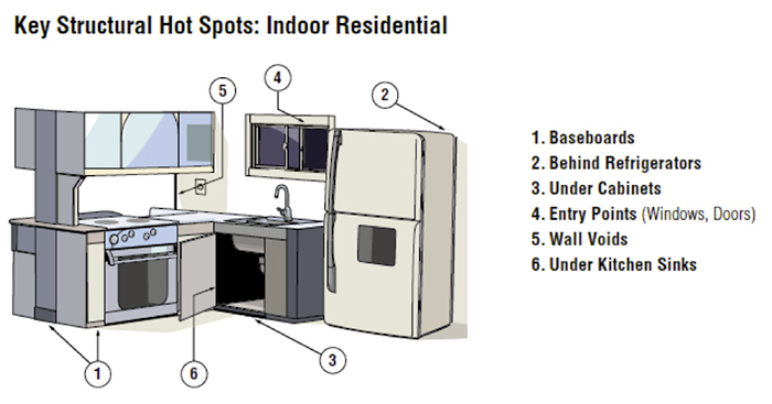 Key Structural Hot Spots for Ants: Indoor Residential (Graphic: MGK)