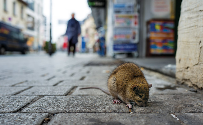 PHOTO: PIERRE ADEN/ISTOCK / GETTY IMAGES PLUS/GETTY IMAGES