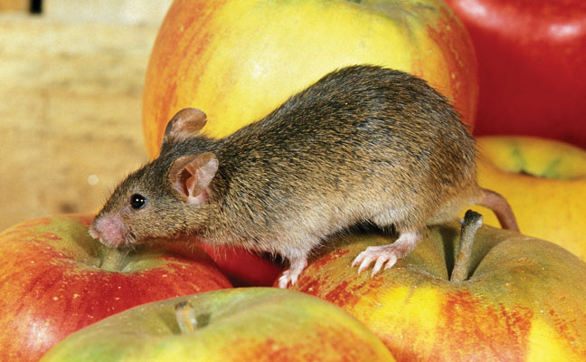 FOTO: SLOWMOTIONGLI / ISTOCK / GETTY IMAGES PLUS / GETTY IMAGES
