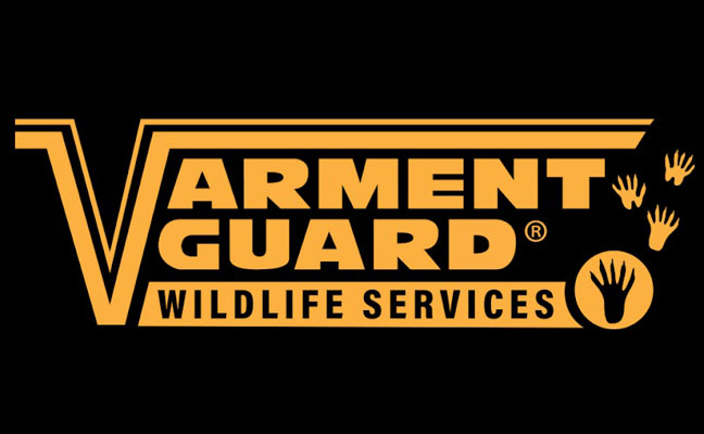 LOGO: VARMENT GUARD