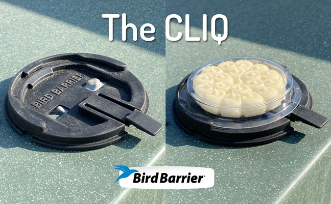 IMAGE: BIRD BARRIER
