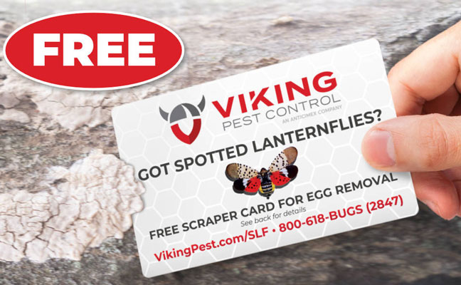 IMAGE: VIKING PEST CONTROL