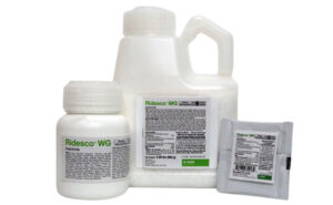 IMAGE: BASF
