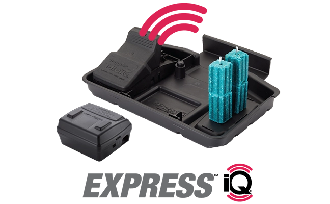 Bell Express iQ Trays