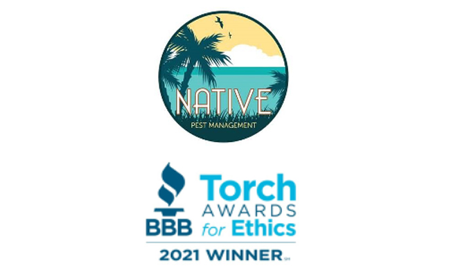 Native-Pest-BBB-Award648x400