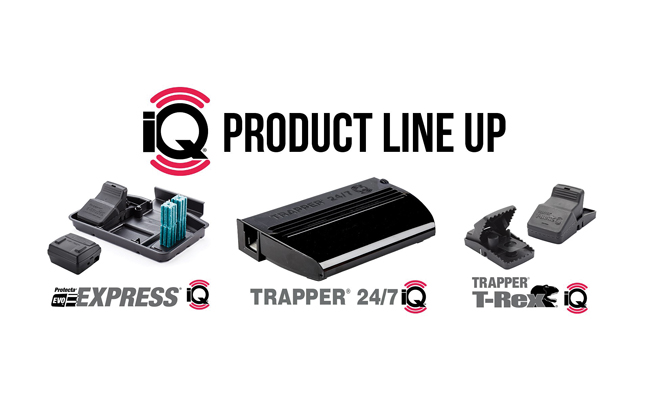 The iQ product line