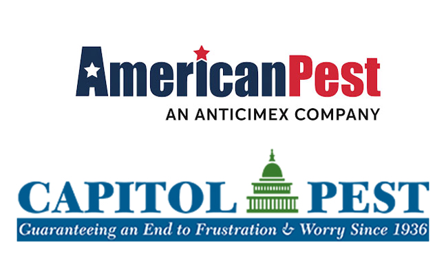 LOGO: AMERICAN PEST AND CAPITAL PEST