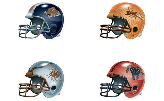 Insect helmets
