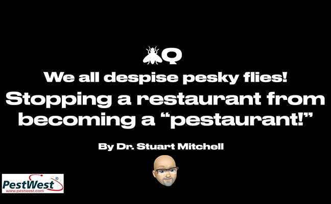 IMAGE: PESTWEST