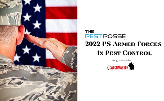 IMAGE: THE PEST POSSE