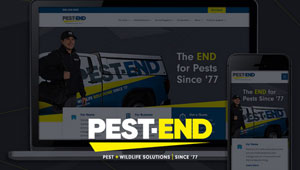 IMAGE: PEST-END