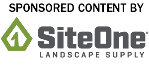 Logo: SiteOne