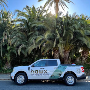 PHOTO: HAWX PEST CONTROL