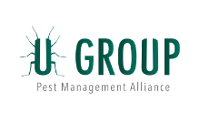 LOGO: THE U GROUP