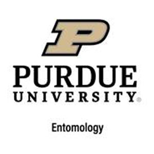 Purdue University