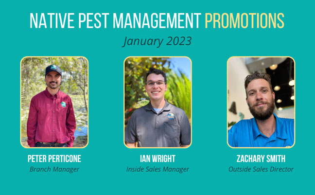 IMAGE: NATIVE PEST MANAGEMENT