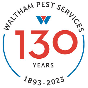 Waltham Pest Services