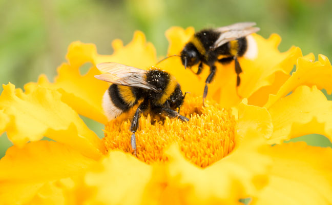 Photo: nnorozoff/iStock / Getty Images Plus/Getty Images