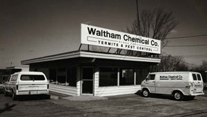 IMAGE: WALTHAM PEST SERVICES