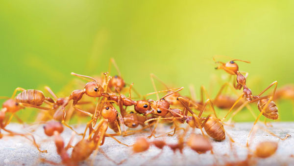 PHOTO: Getty Image:  apichat_naweewon/iStock / Getty Images Plus