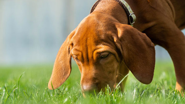 Photo: Bang/iStock / Getty Images Plus/Getty Images