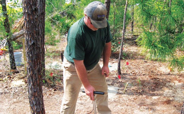 PHOTO: U.S. Department of Agriculture Forest Service