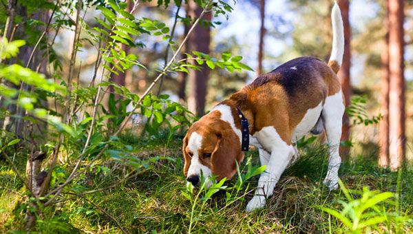 Photo: igorr1/iStock / Getty Images Plus/Getty Images