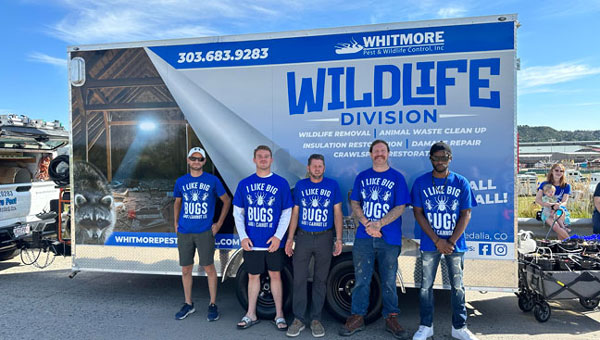 PHOTO: WHITMORE PEST AND WILDLIFE CONTROL