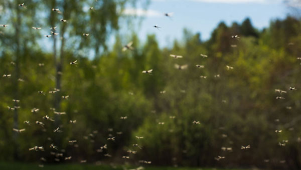 Photo: Nadanka/iStock / Getty Images Plus/Getty Images