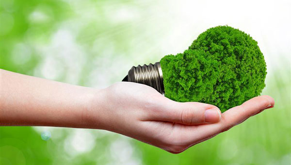 Photo: vencavolrab/iStock / Getty Images Plus/Getty Images