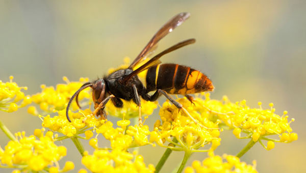 Photo: AlbertoNovo/getty images/iStock/getty images plus