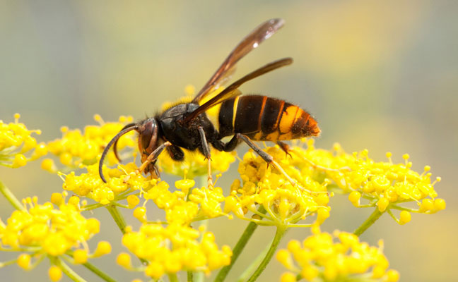 Photo: AlbertoNovo/getty images/iStock/getty images plus