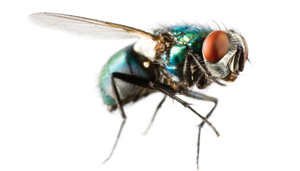Photo: Gewoldi/iStock / Getty Images Plus/Getty Images