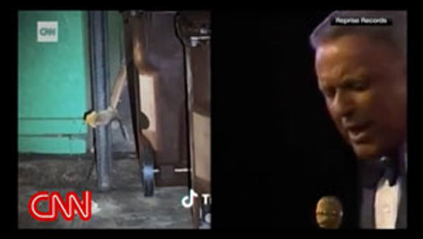 SCREENSHOT: BOLLWERK’S TIK TOK