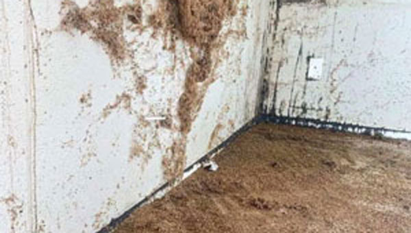 PHOTO: BURNS PEST ELIMINATION