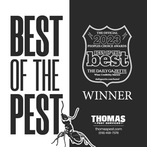 IMAGE: THOMAS PEST SERVICES