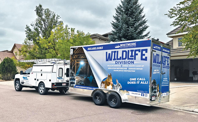 PHOTO: WHITMORE PEST AND WILDLIFE CONTROL