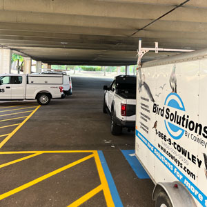 Photo: Cowley’s Termite & Pest Services