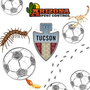 IMAGE: ARIZONA PEST CONTROL