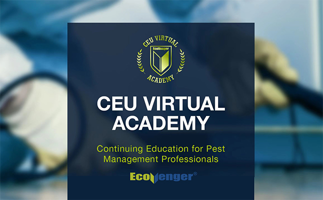 IMAGE: ECOVENGER