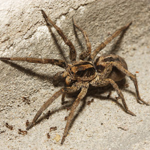 Photo: KevinDyer/iStock / Getty Images Plus/Getty Images
