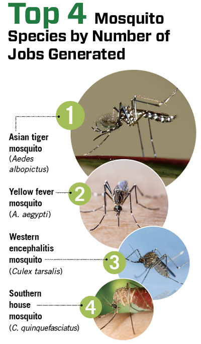 Art: IMNATURE / iStock / Getty Images Plus / Getty Images (1); teptong / iStock / Getty Images Plus / Getty Images (2); Joseph Berger, Bugwood.org (3 TOP); bubaone / DigitalVision Vectors (3 Bottom); CDC/Jim Gathany (4)