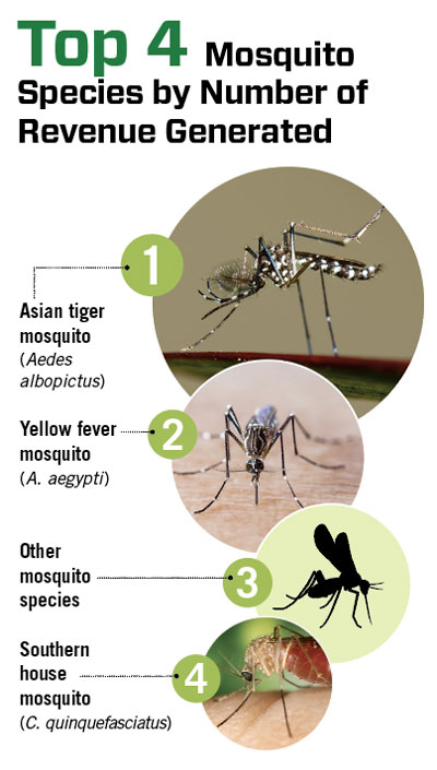 Art: IMNATURE / iStock / Getty Images Plus / Getty Images (1); teptong / iStock / Getty Images Plus / Getty Images (2); Joseph Berger, Bugwood.org (3 TOP); bubaone / DigitalVision Vectors (3 Bottom); CDC/Jim Gathany (4)