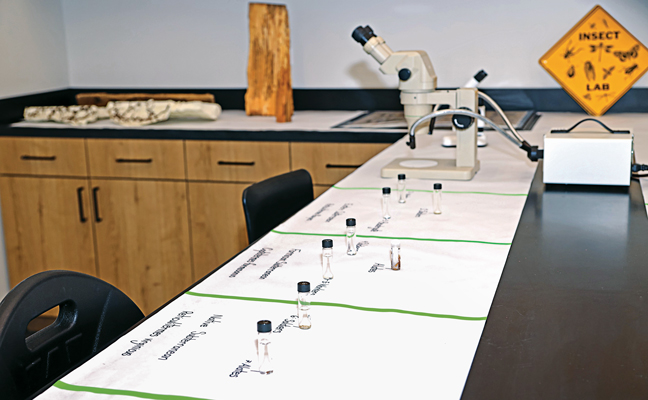 Rentokil Terminix hosts ribbon cutting ceremony for Innovation Center ...